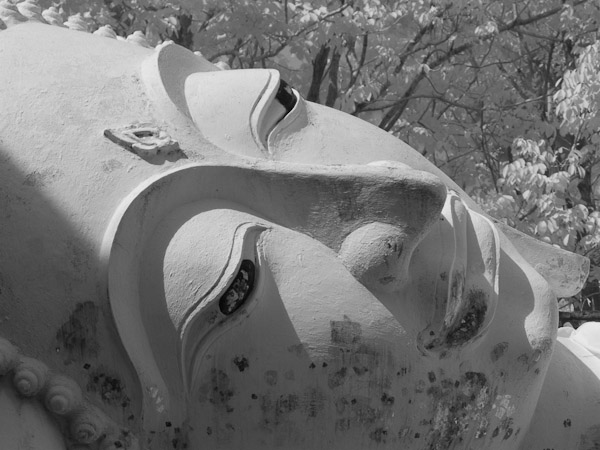Thailand_OctNovDec_2010_Ayutthaya_Infrared_2658 - Copy (2).jpg